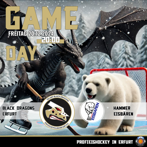 HEIMSPIEL - BLACK DRAGONS vs. HAMMER EISBÄREN